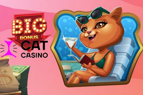  Лицензия, вознаграждения и различные другие преимущества Pet Cat Online Casino 